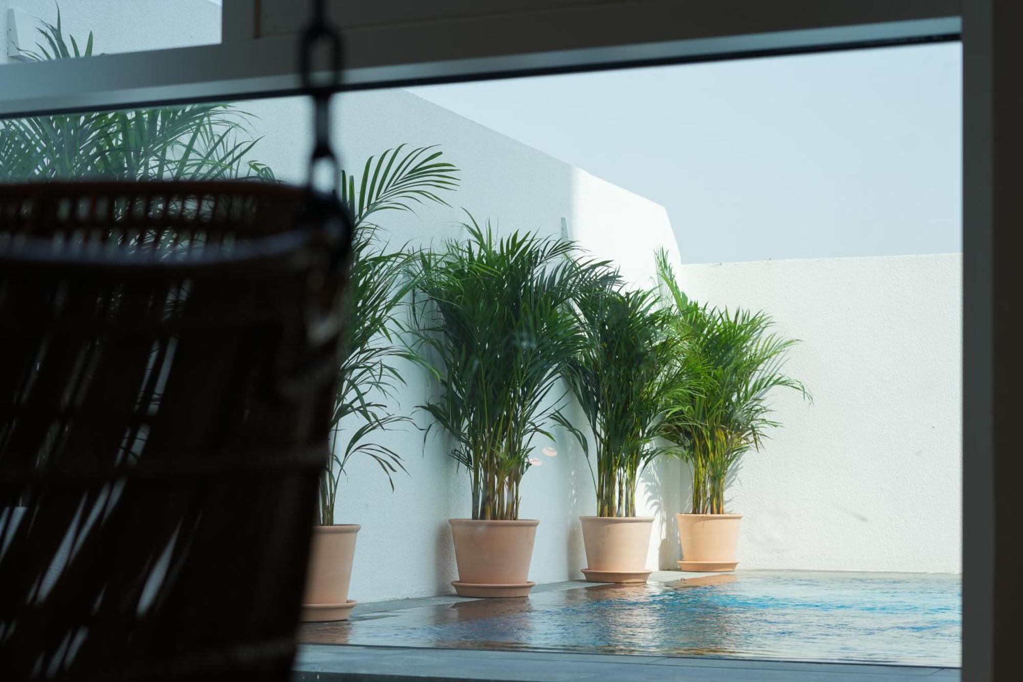 Shada Hotel Jumeirah Garden ドバイ エクステリア 写真
